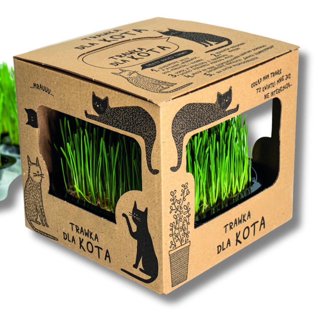 Trawka dla kota